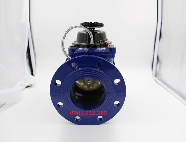 Đồng hồ đo lưu lượng nước dây xung