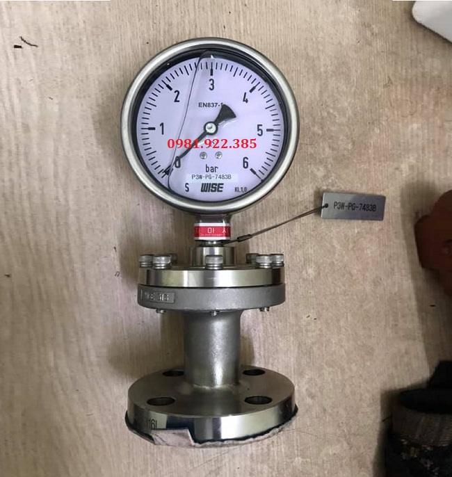 Đồng hồ đo áp suất chân đứng mặt bích