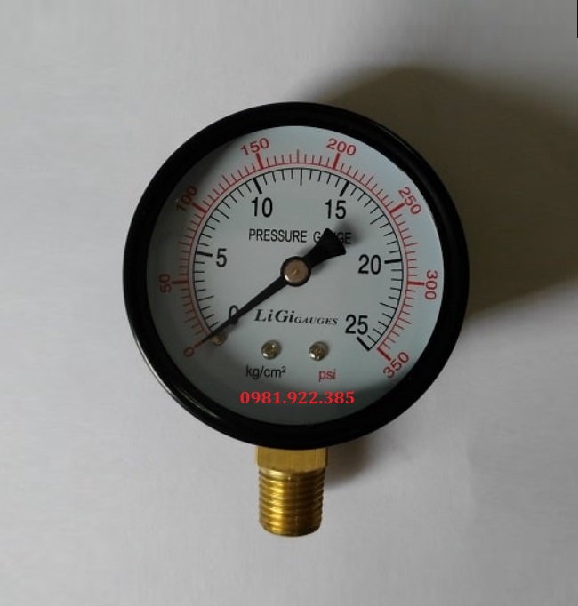 Đồng hồ đo áp suất vỏ thép chân sau 63mm