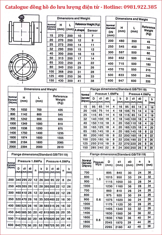 Catalogue đồng hồ đo lưu lượng điện tử