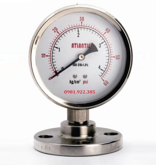 Đồng hồ đo áp suất dạng màng mặt bích