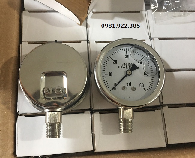 Đồng hồ đo áp suất inox có dầu