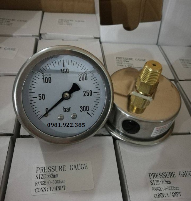 Đồng hồ đo áp suất nước chân sau