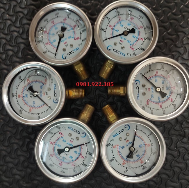 Đồng hồ đo áp suất tinh khiết