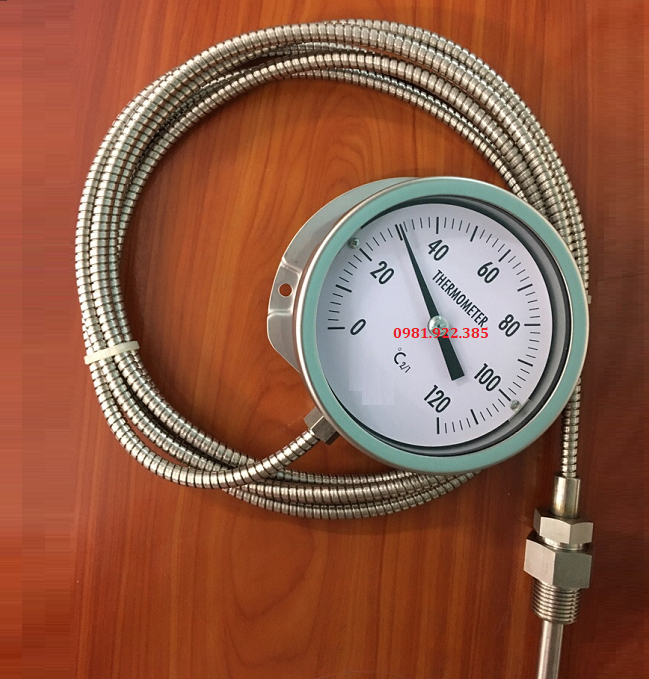 Đồng hồ đo nhiệt độ dạng dây