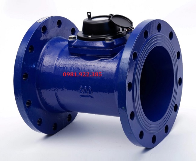 Đồng hồ đo nước gang DN250