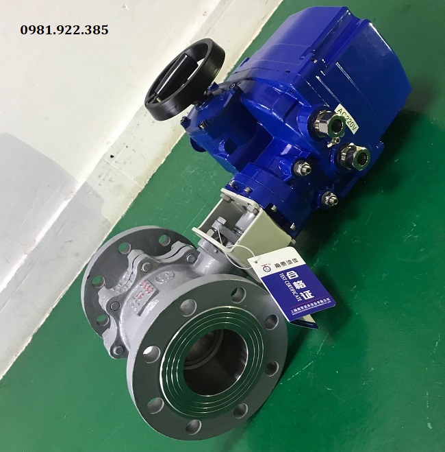 Van bi tay quay mặt bích điều khiển điện DN100