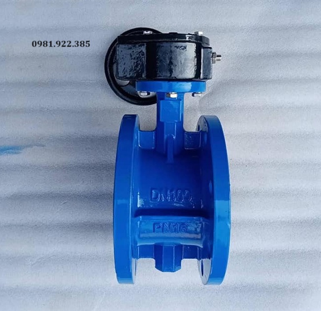 Butterfly valve DN100