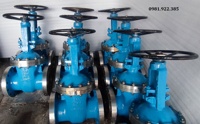 Gate valve inox