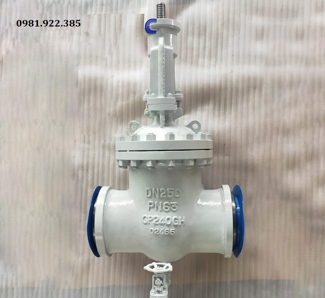 Van cổng DN250 PN63