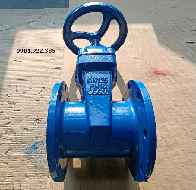 Van cổng gang DN125