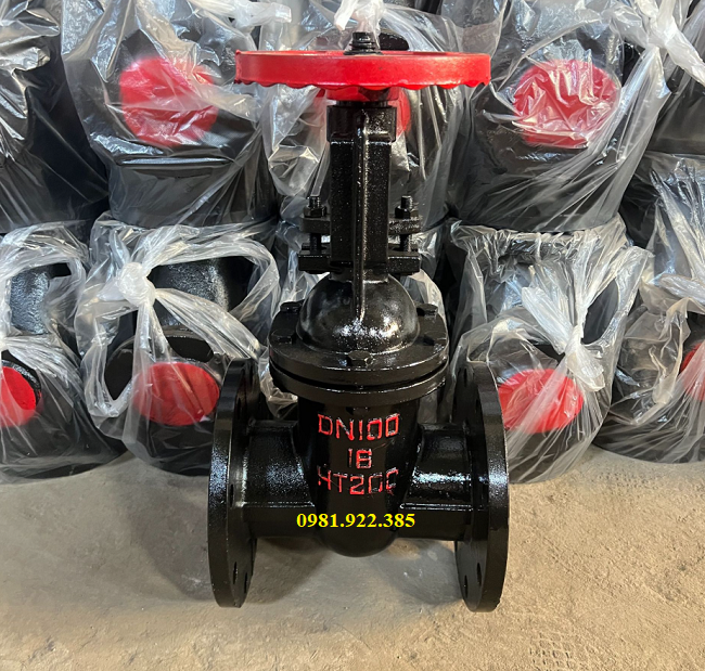 van_cong_gang_z45t-10_dn100