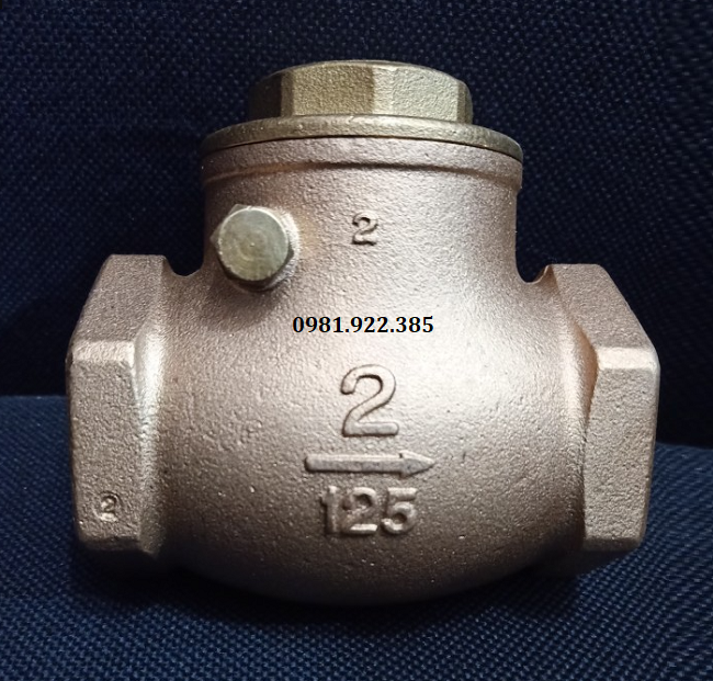 check_valve_dn50