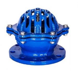 Rọ bơm bằng gang