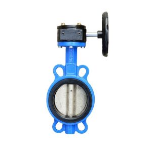 Van bướm tay quay