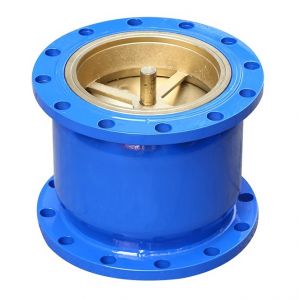 Van một chiều lò xo